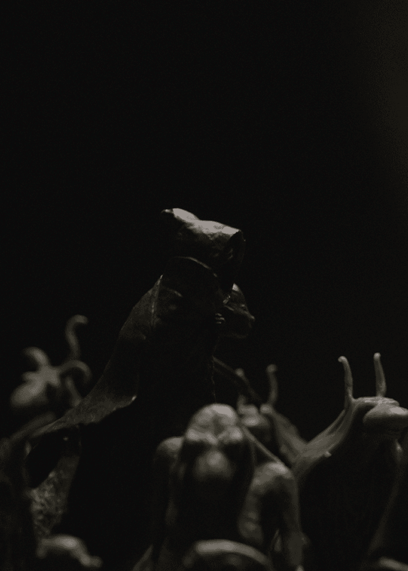 A Dark Forest path for those looking for encounters with mythical beings - väsen